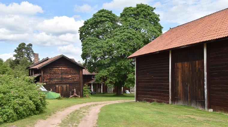 Kringbyggd gård med ålderdomliga timmerhus mitt i Källberget.