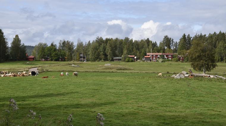 Utsikt mot Kanngårdarna från det vidsträckta betes- och odlingslandskapet i öster.
